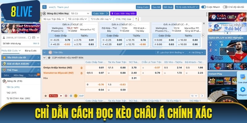 Chỉ dẫn cách đọc kèo châu Á chính xác
