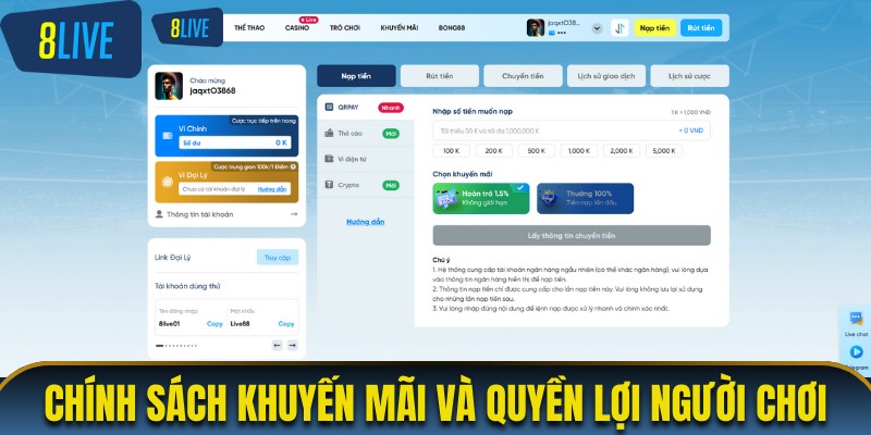 Chính sách khuyến mãi và quyền lợi khách hàng