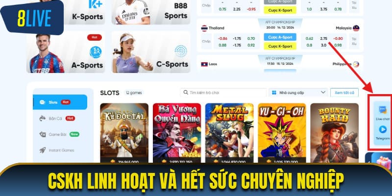 CSKH linh hoạt và hết sức chuyên nghiệp