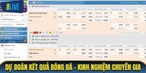 Đự đoán kết quả bóng đá