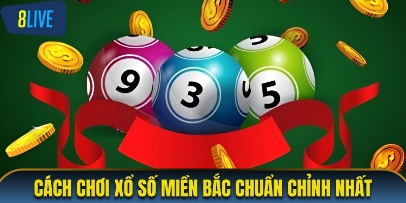 Hướng dẫn chơi xổ số miền Bắc cho người mới