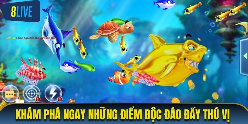 Khám phá ngay những điểm độc đáo đầy thú vị