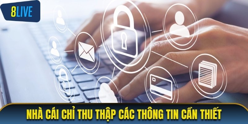 Nhà cái chỉ thu thập các thông tin cần thiết